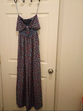 Patrons of Peace Blue and Red Floral Dress